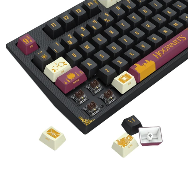 teclado_gamer_redragon_usb_mecanico_harry_potter_hogwarts_amsa_rgb_switches_marrom_hp-592_rgb_08.jpg