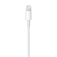 Cabo Apple USB 2.0 Lightning 1M Branco