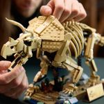 lego_jurassic_world_fosseis_de_dinossauros_triceratops_09.jpg