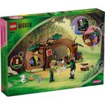 lego_wicked_retiro_de_elphaba_03.jpg