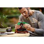 lego_creator_expert_arvore_bonsai_08.jpg