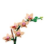 lego_botanicals_mini_orquidea_04.jpg