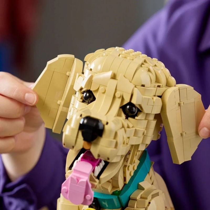 lego_icons_filhote_de_golden_retriever_09.jpg